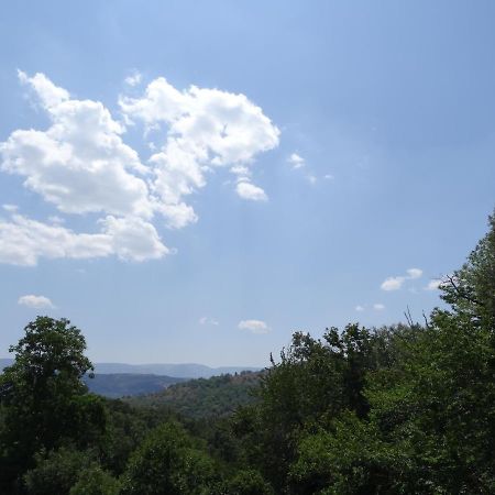 Villa Al Patio Los Loros Esterno foto